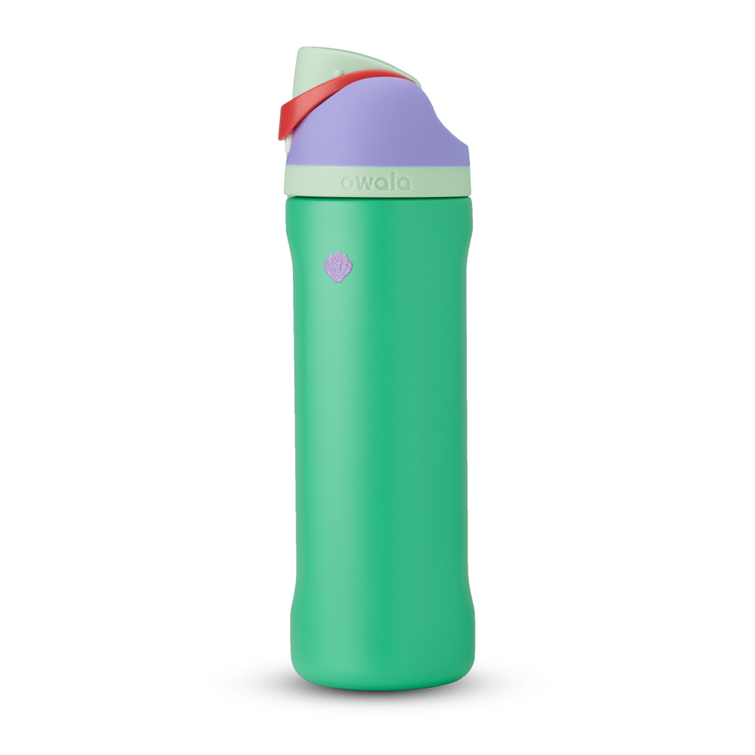 Disney Princess Collection Water Bottle K82S2