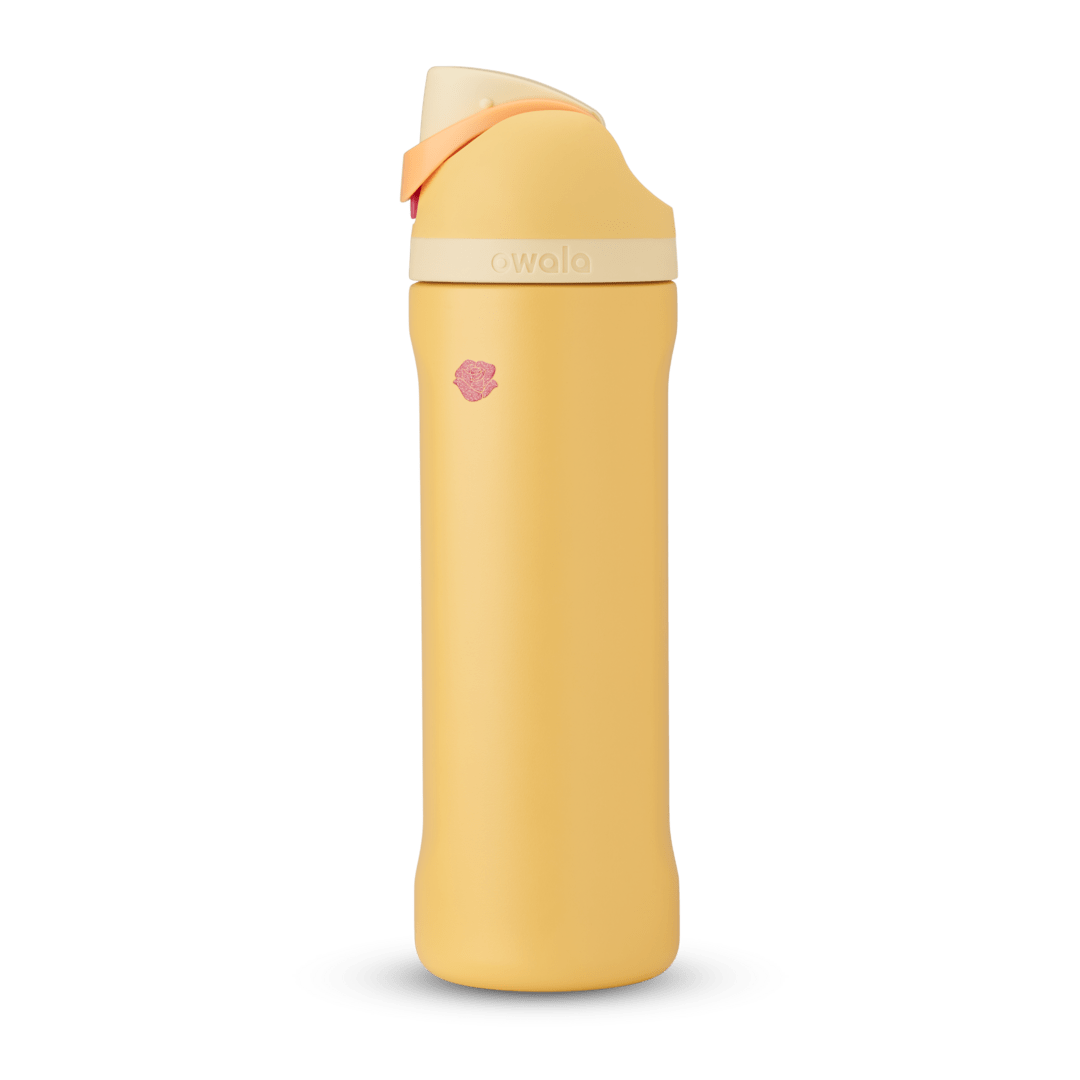 Disney Princess Collection Water Bottle K82S2