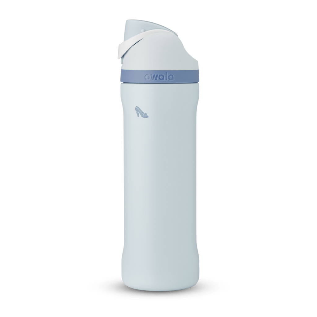 Disney Princess Collection Water Bottle K82S2