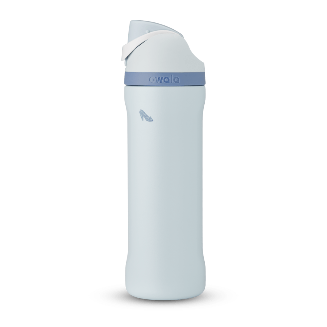 Disney Princess Collection Water Bottle K82S2