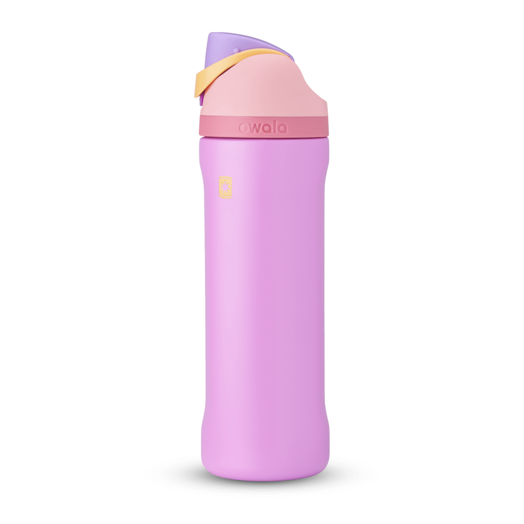 Disney Princess Collection Water Bottle K82S2