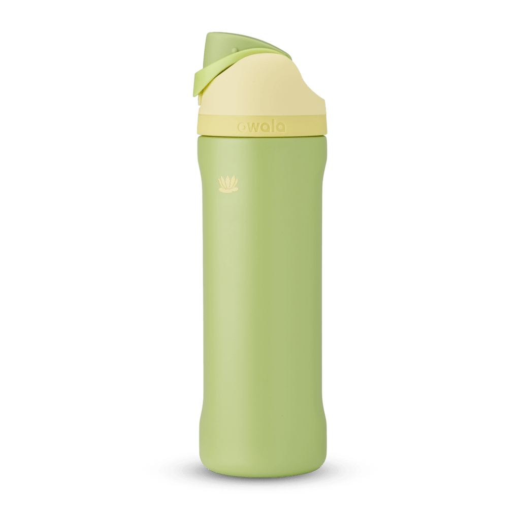 Disney Princess Collection Water Bottle K82S2