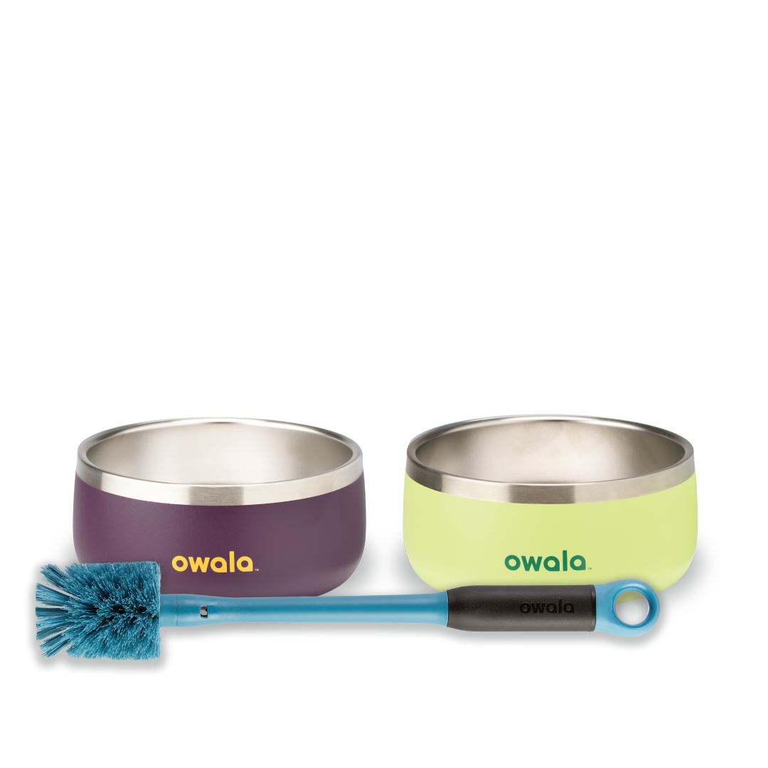 Pet Bowl Bundle Water Bottle 3DGZT