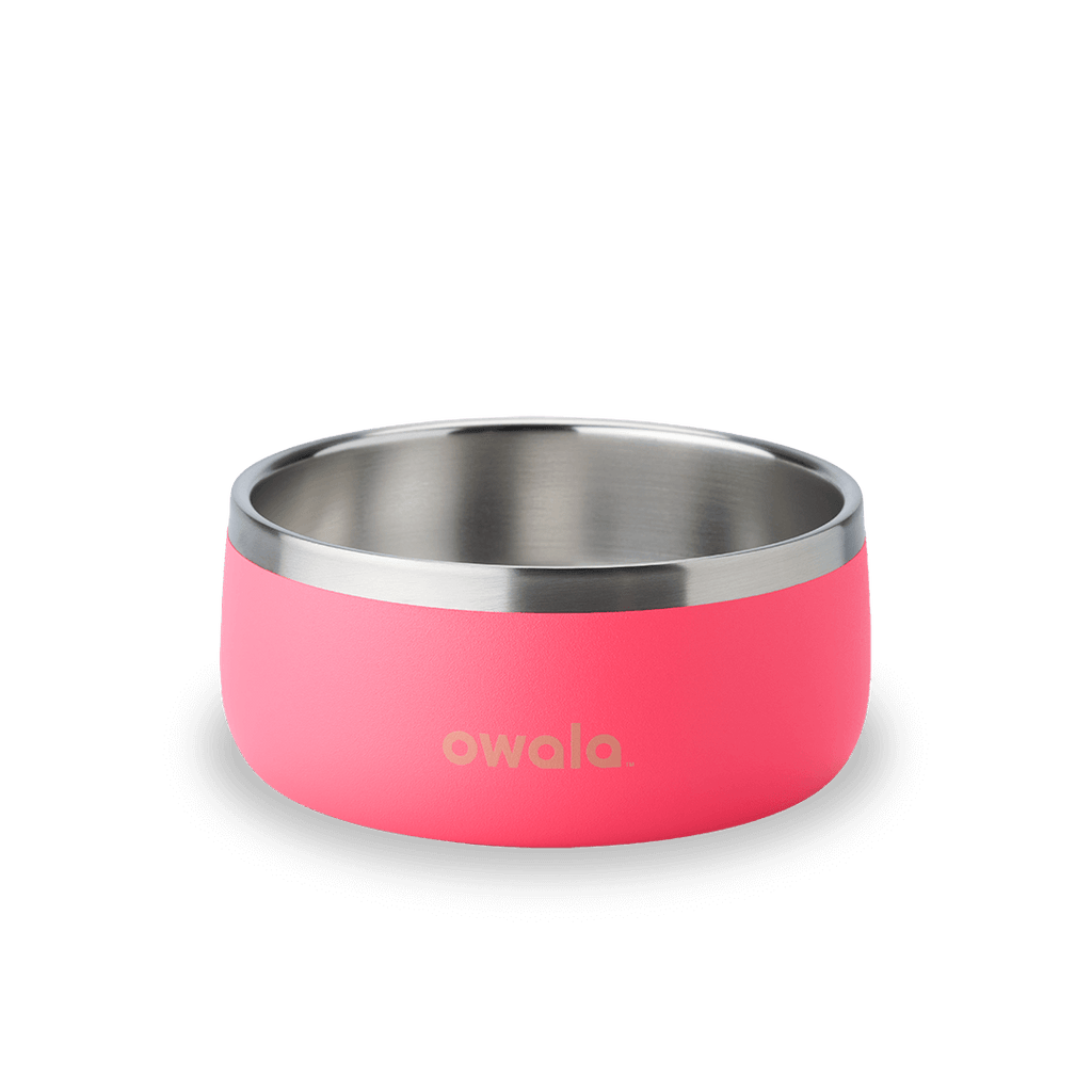 Pet Bowl Water Bottle U08YK