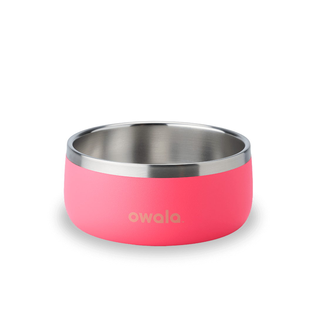Pet Bowl Water Bottle U08YK