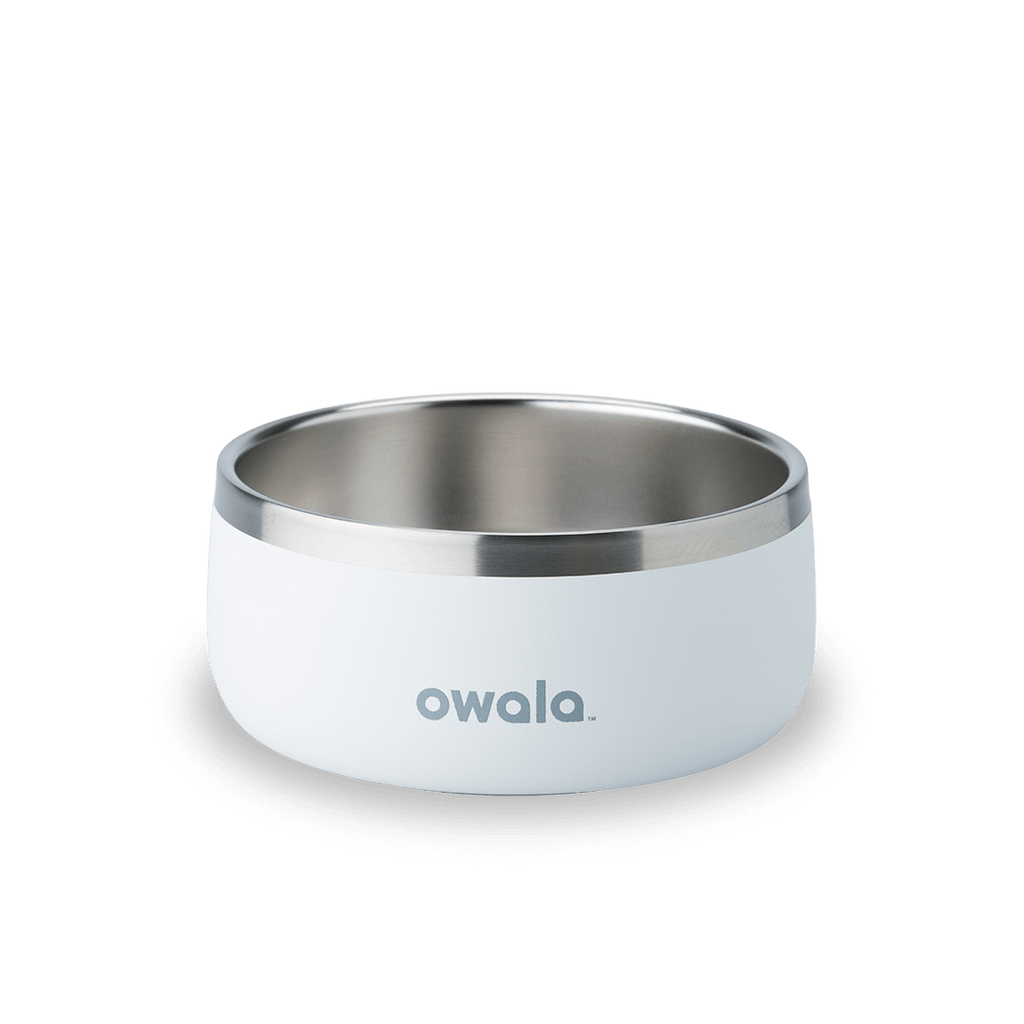 Pet Bowl Water Bottle U08YK