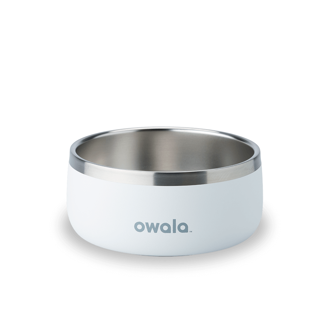 Pet Bowl Water Bottle U08YK