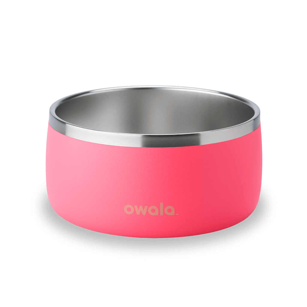 Pet Bowl Water Bottle U08YK