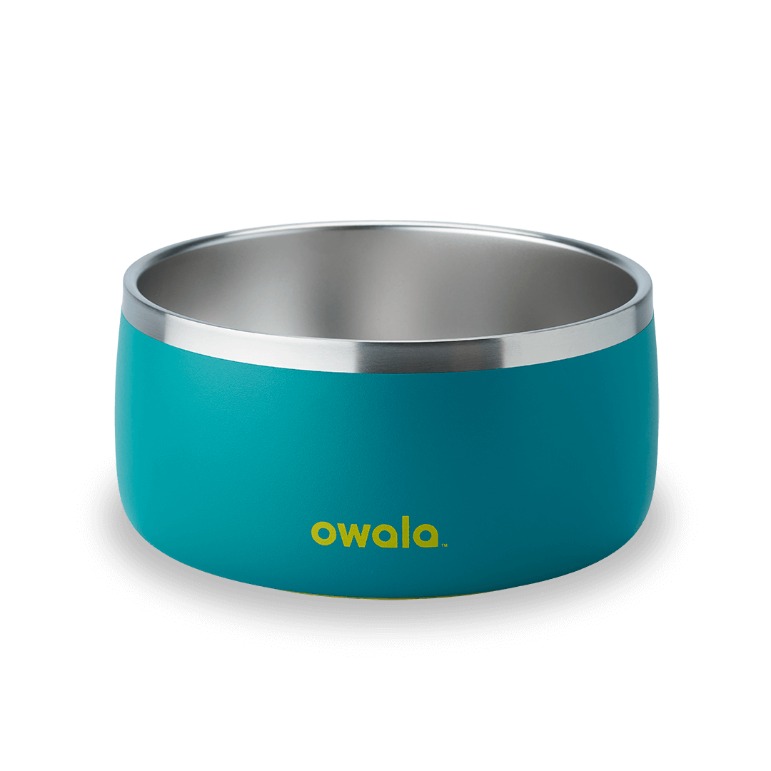Pet Bowl Water Bottle U08YK